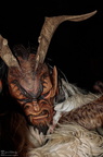 IMG 1301www.fototeam-mattigtal.at00093 F2011A00