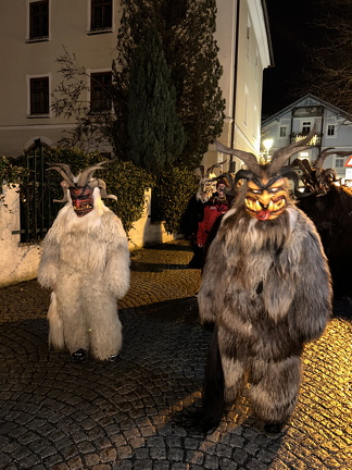 Tannberg Perchten 20222023 c1e97b47988f4cf78ce5d0912b63e1d9 388